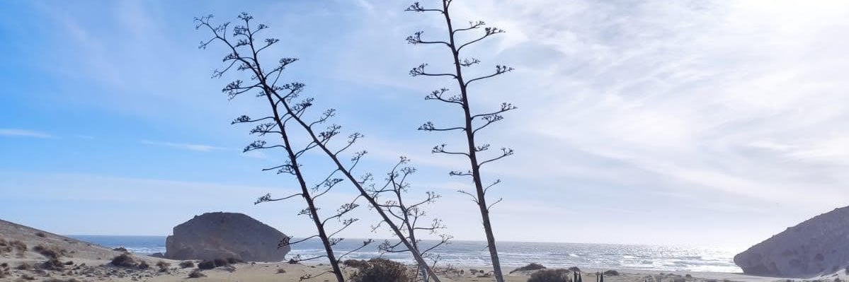 MarMontr's profile banner image
