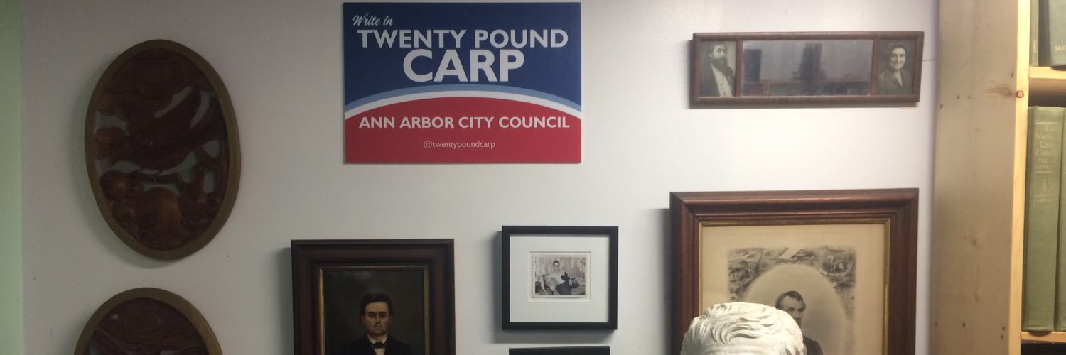 TwentyPoundCarp's profile banner image