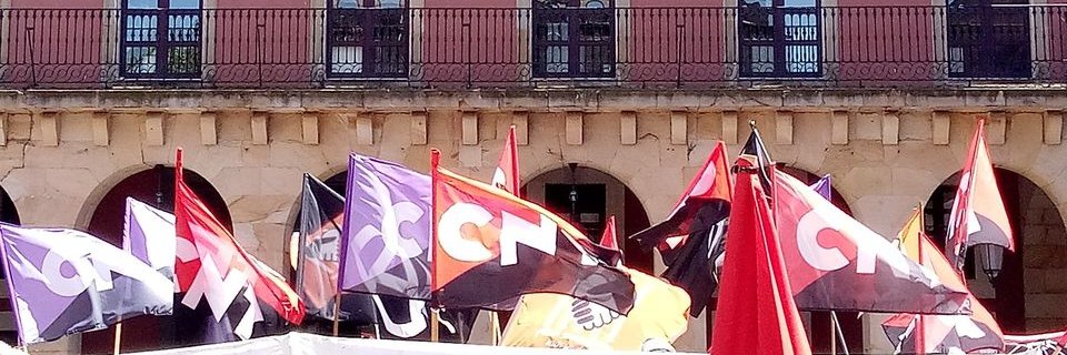 CNT Málaga banner