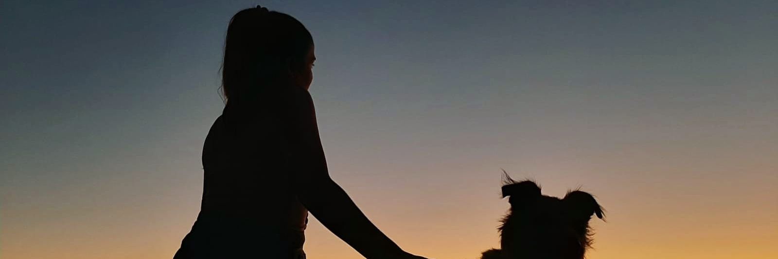 evademe_'s profile banner image