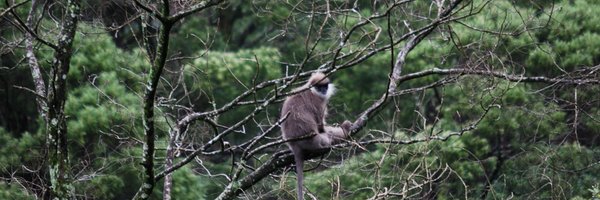 sbululab Profile Banner