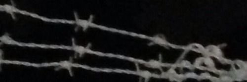 d banner