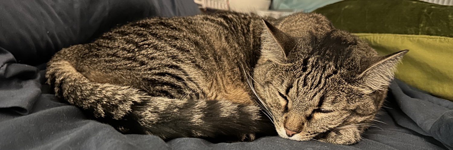 THE a l i c e - LFG! SWIFTIE! CHIEFS! WXM AFC! banner