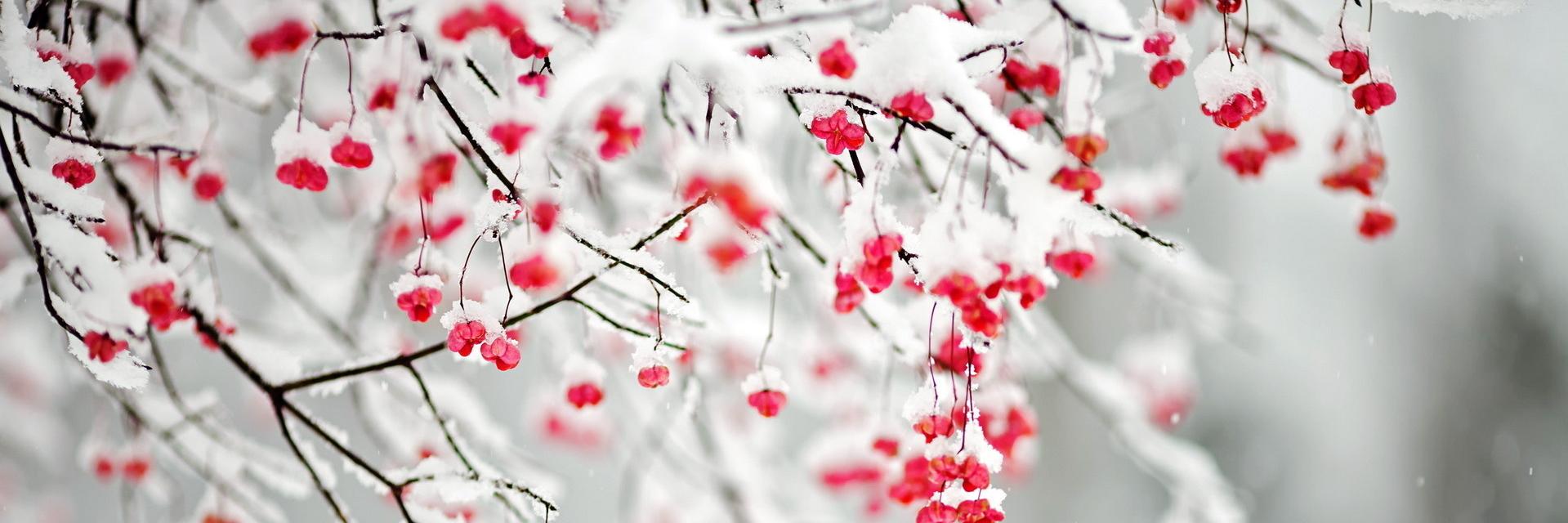 GildaSamani's profile banner image