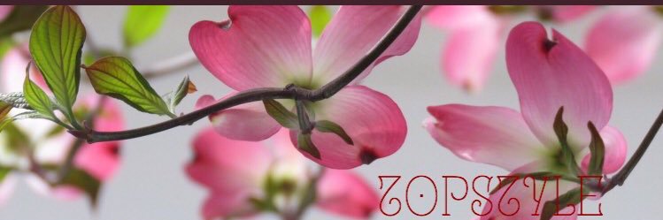 ⚔topstyle⚔shiho🌷⚔️'s banner