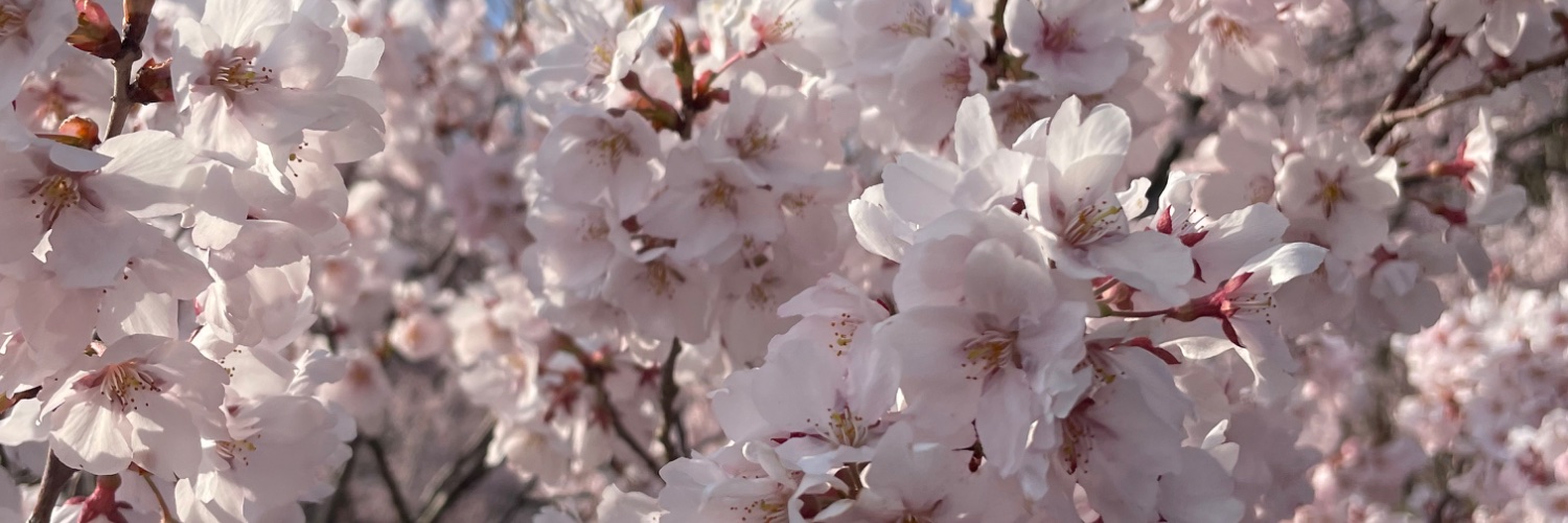 TAKKUN134's profile banner image