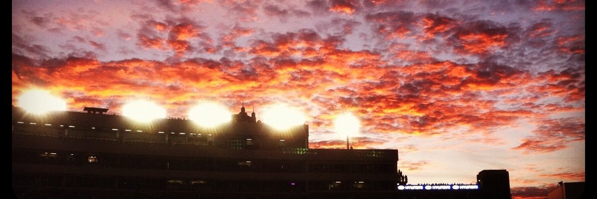 Chris Alfa 🔰 banner