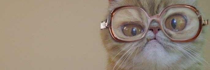 toastacle's profile banner image