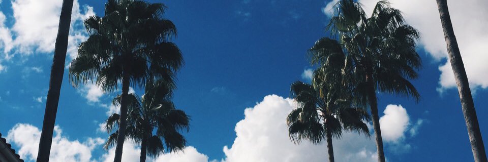 paulaurd's profile banner image