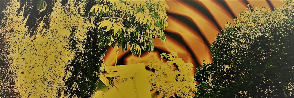 chicoalgo's profile banner image