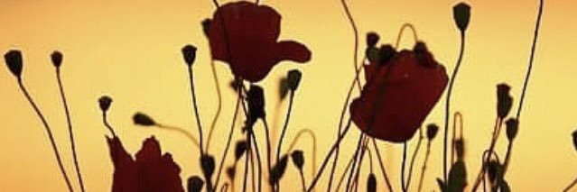 Ranger_Hanover's profile banner image