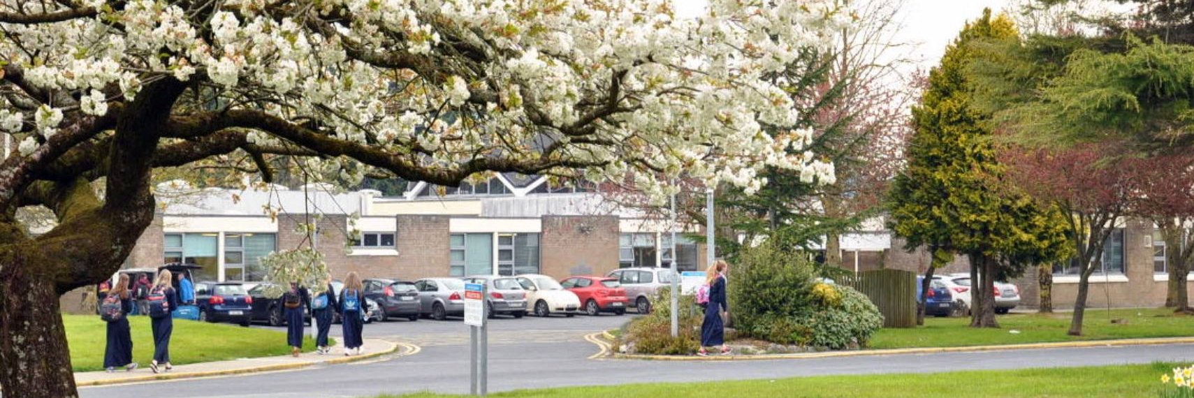 Crescent College Comprehensive SJ banner