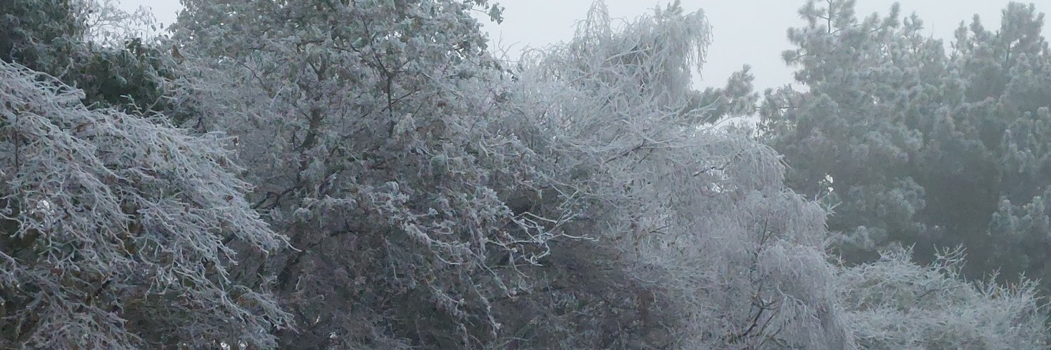 mosgo banner