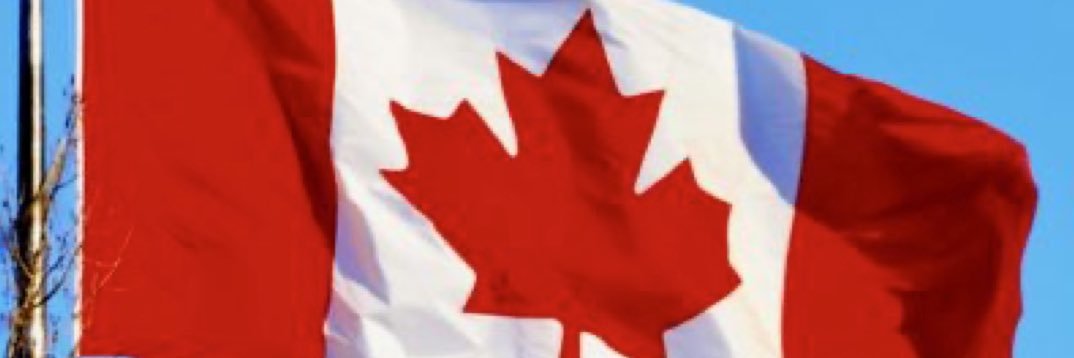 Selectskap's profile banner image