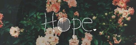 lynnjmil's profile banner image