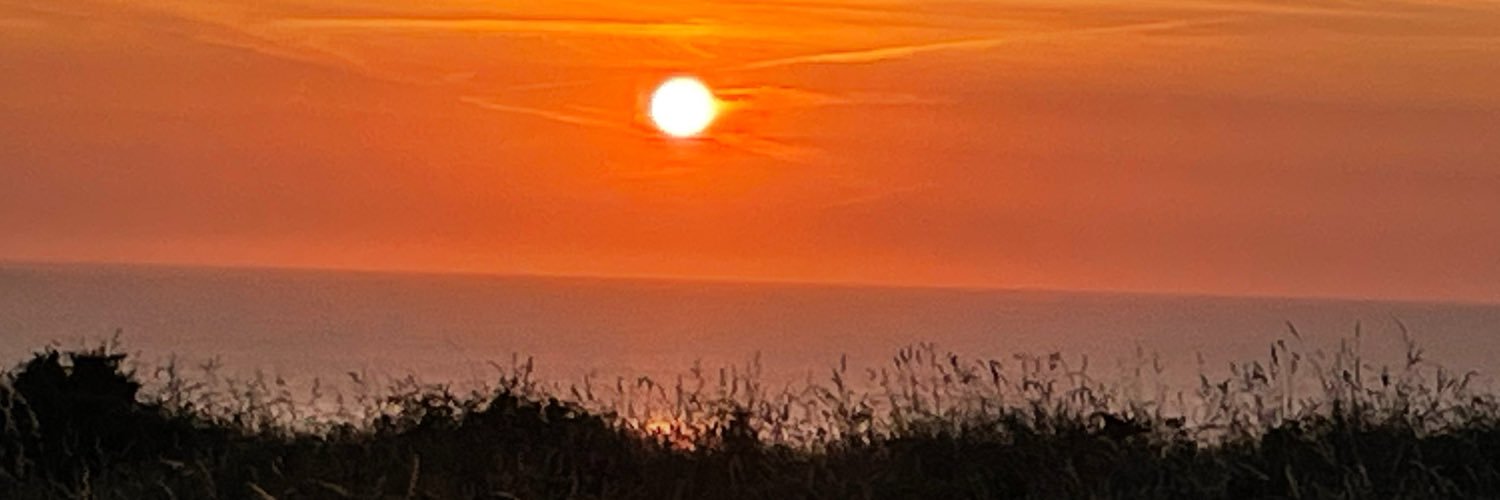 CopsonSharon's profile banner image