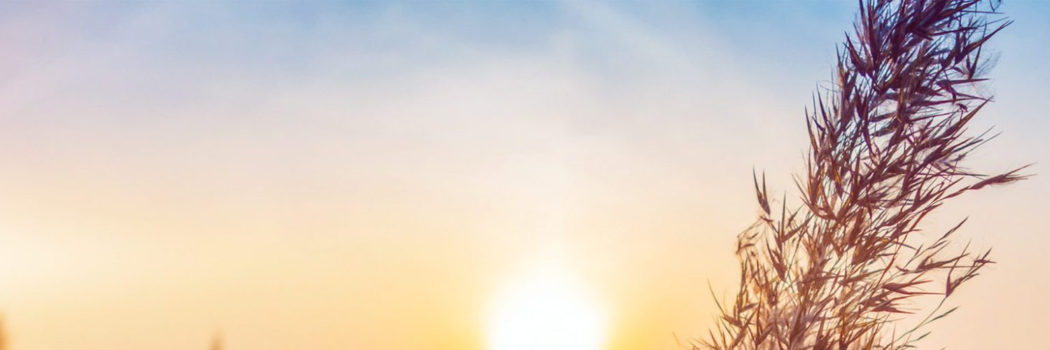 MadisonChapma13's profile banner image