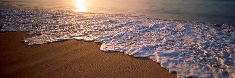 Jordi Sans Blanch banner