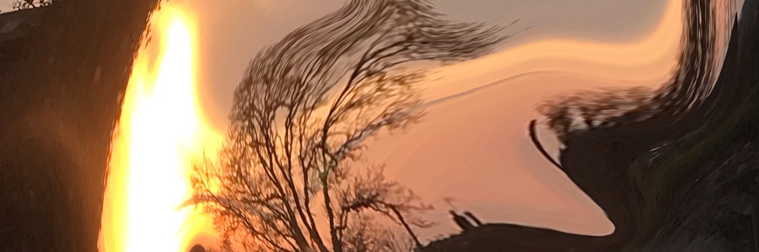 Reilly banner