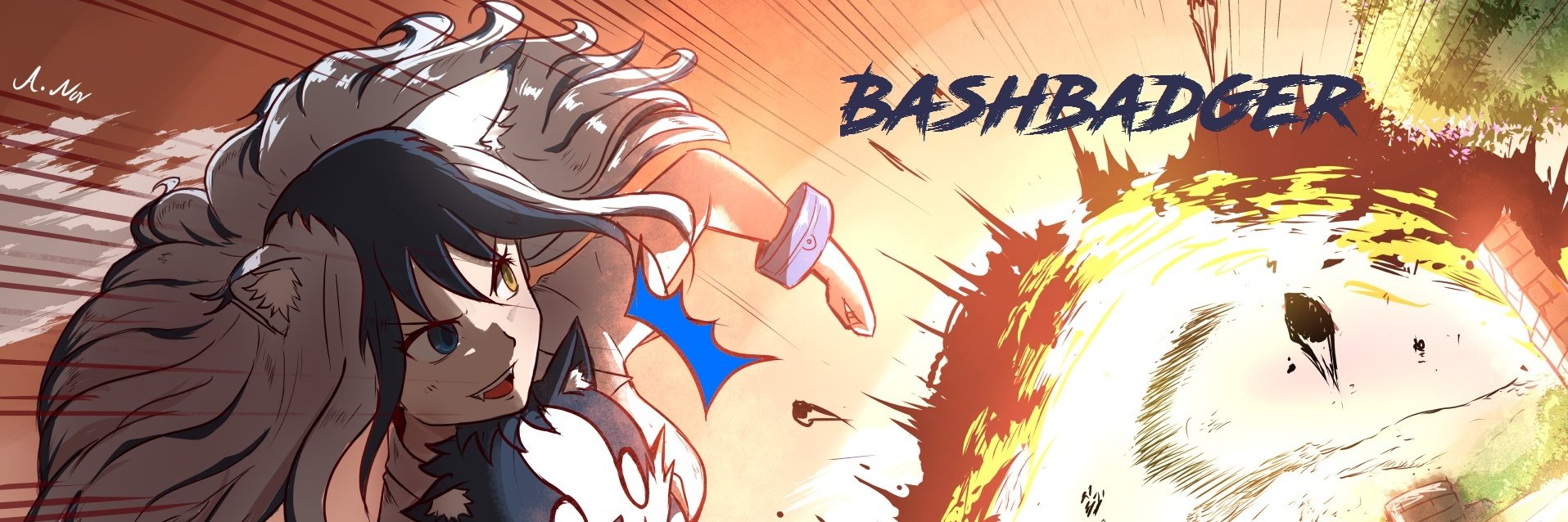BashBadger's profile banner image
