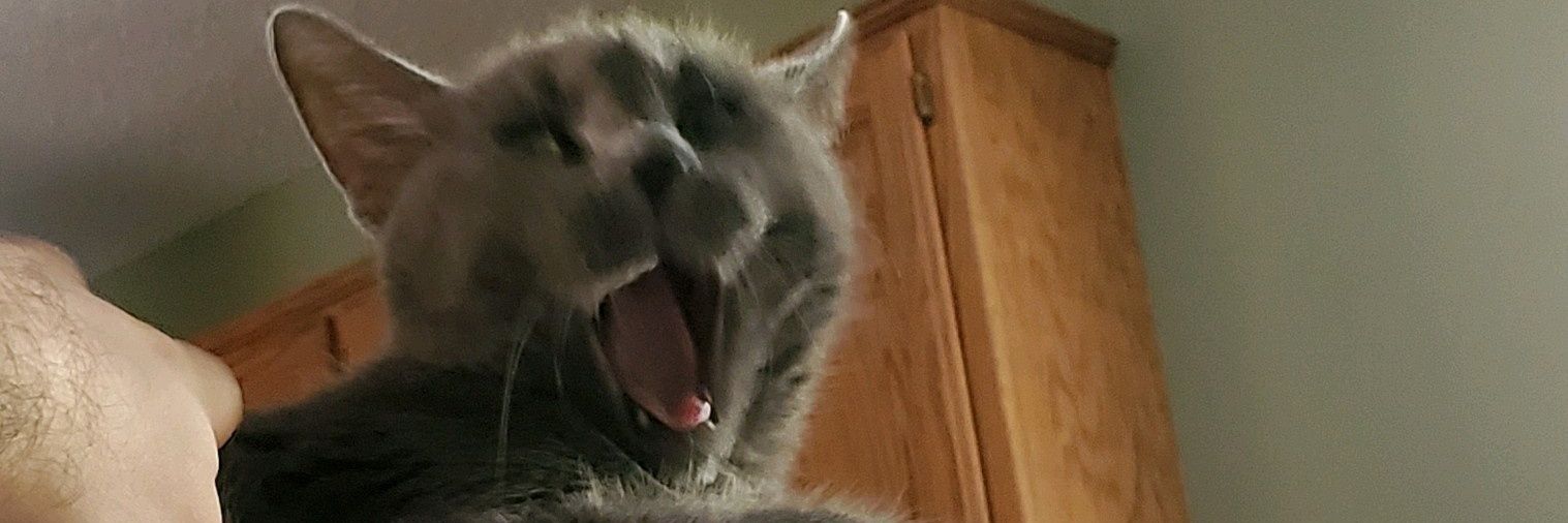 Michael D. Tyburski banner