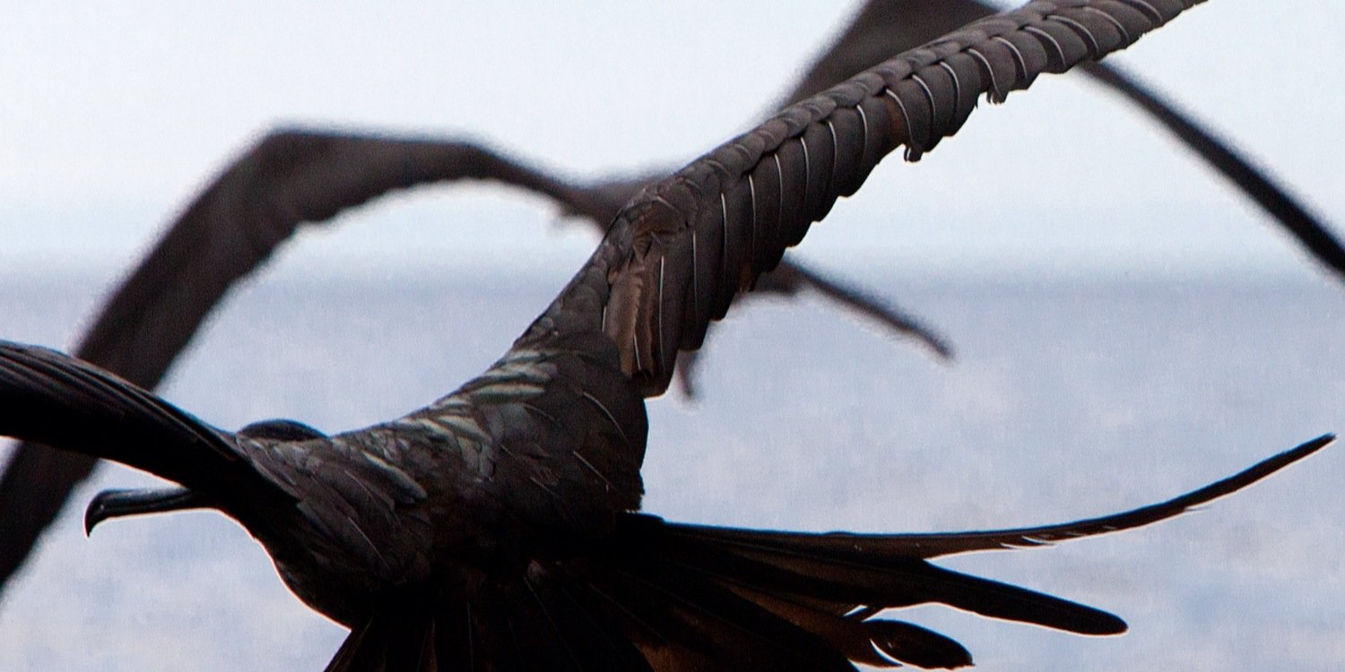 MinnaScheinin's profile banner image