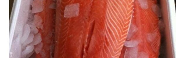 SeafoodUK Profile Banner