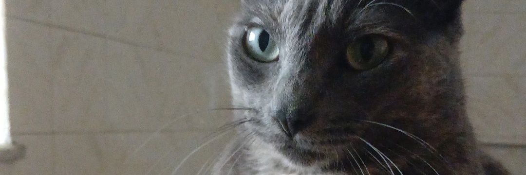 briel4_lim4's profile banner image