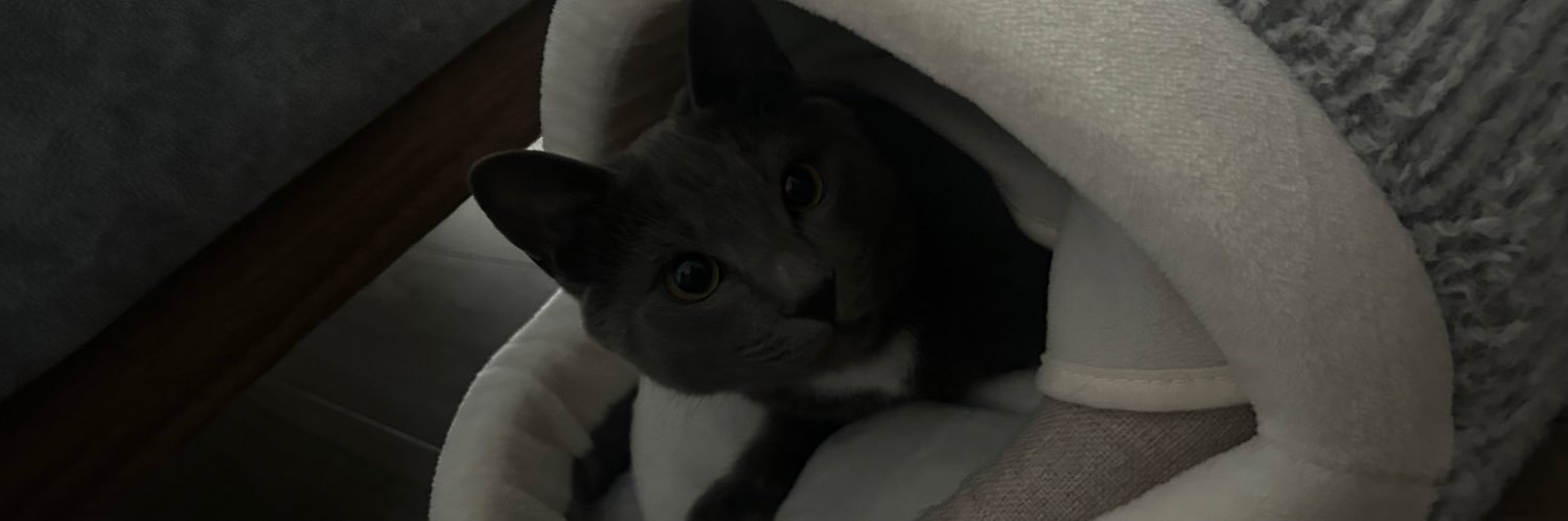 Chloe banner