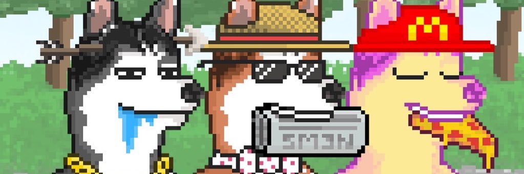 Shib banner
