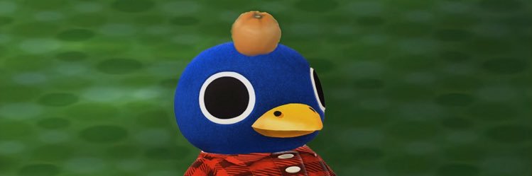 ssam_macrae's profile banner image