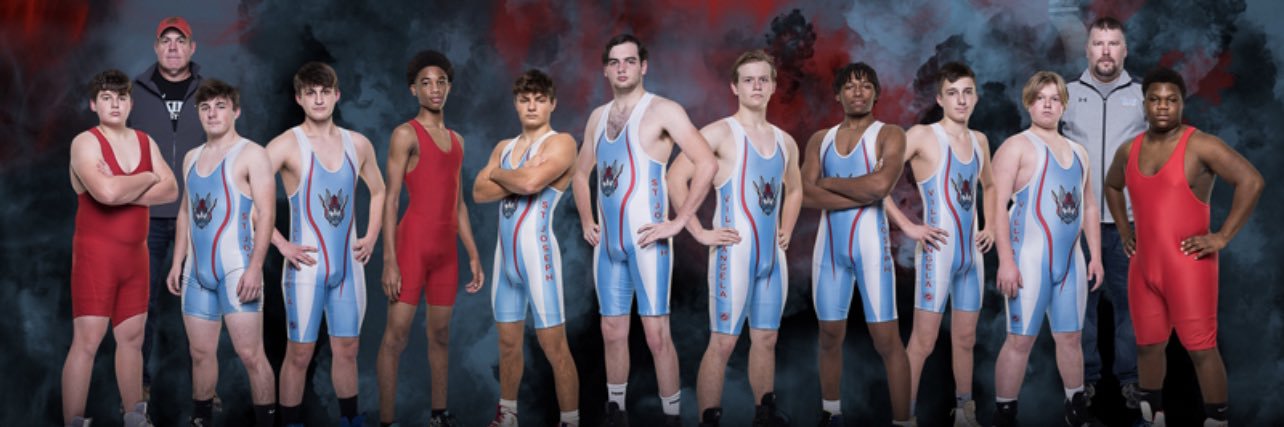 VASJ Viking Wrestling banner