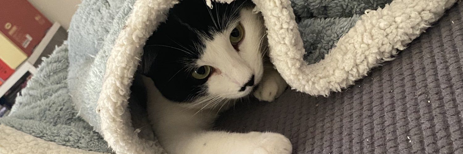 Sungphie's profile banner image