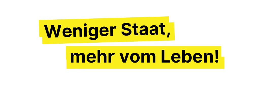 PdV Bundesverband banner