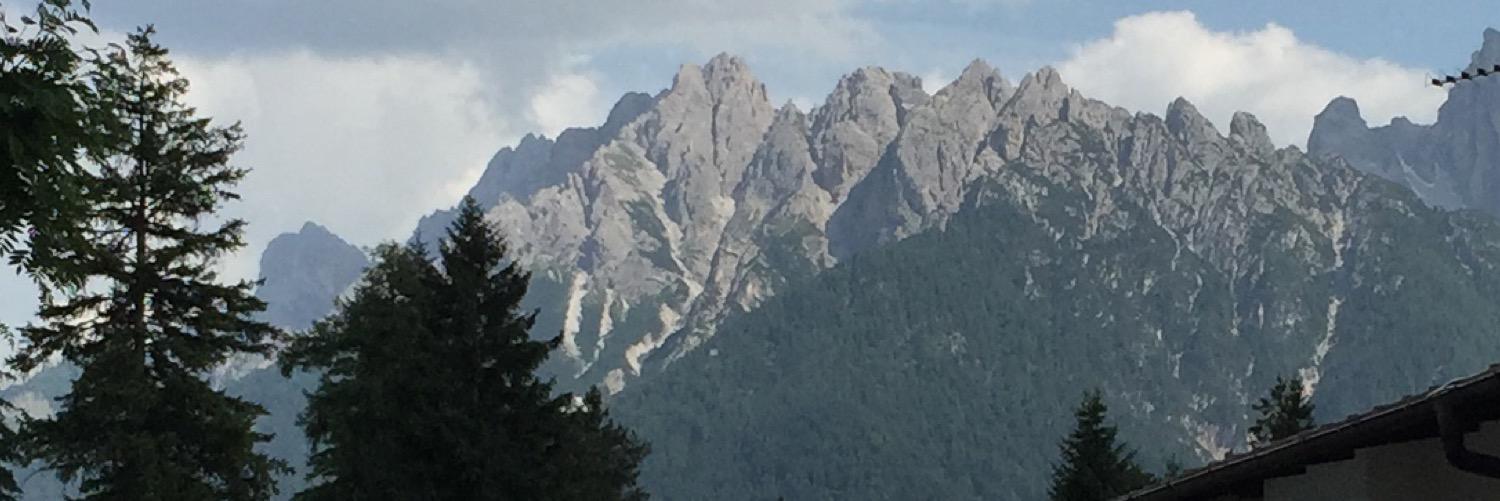 franco orso banner