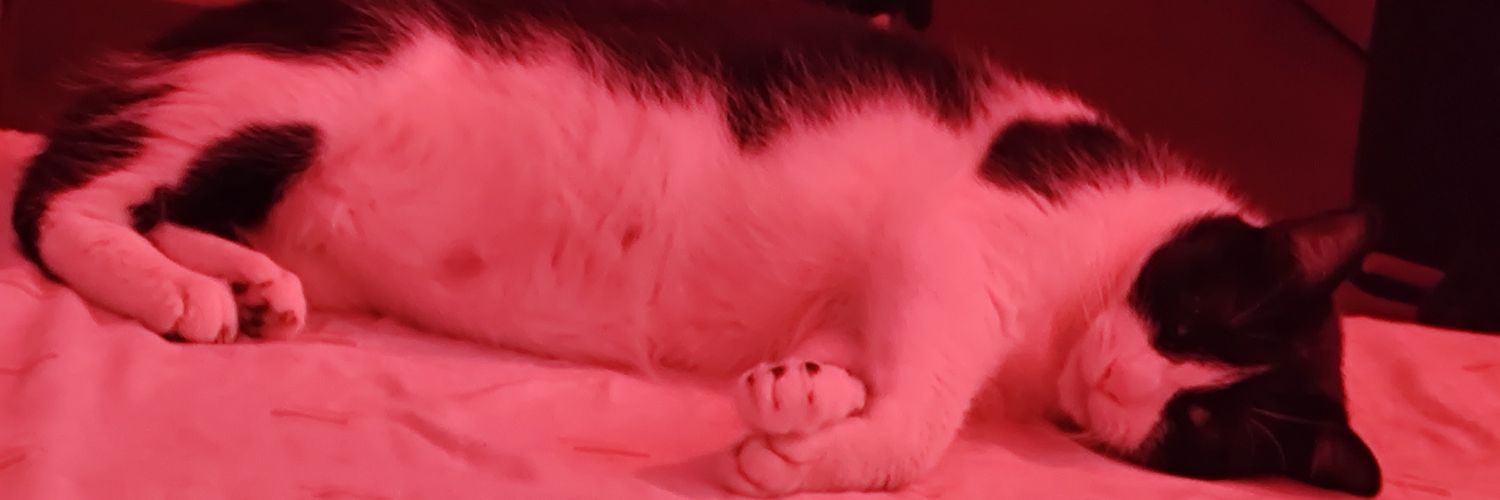 NicoLopezz's profile banner image