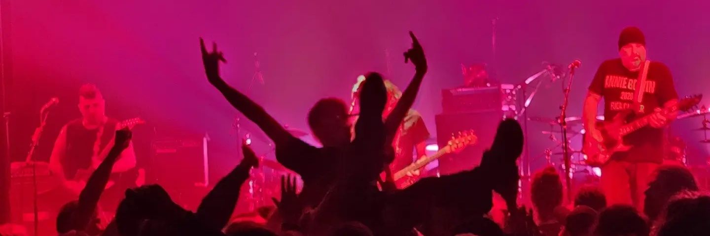 Groovy Aardvark banner