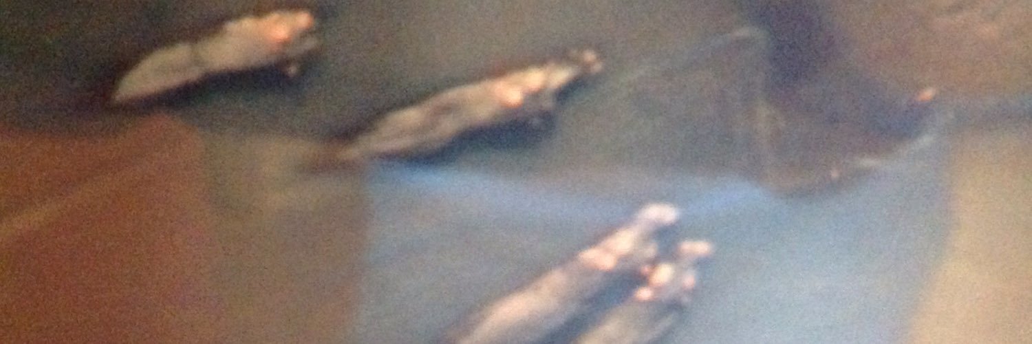 johncwright2's profile banner image