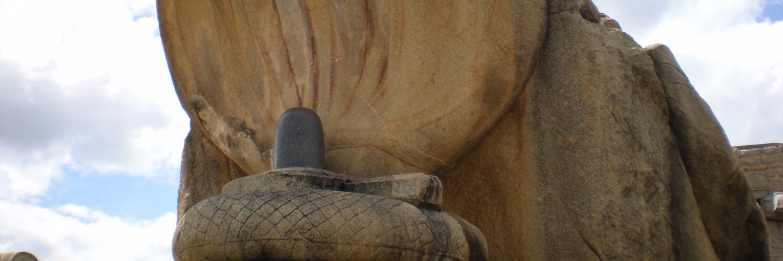 raushiyer's profile banner image