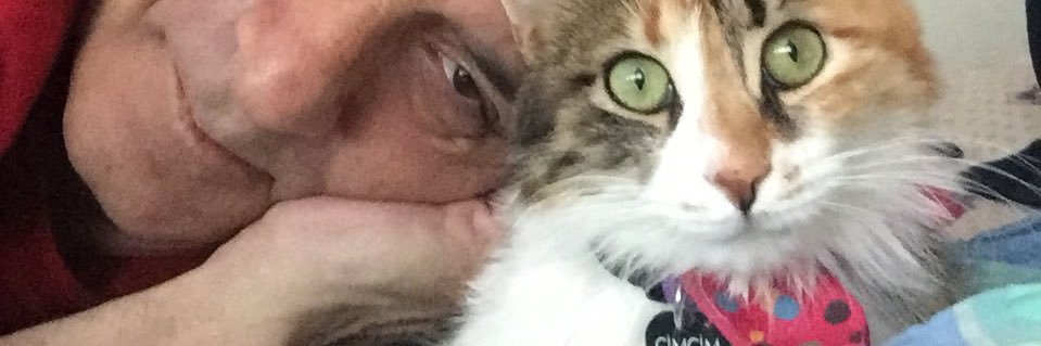 fsanerbasaran's profile banner image