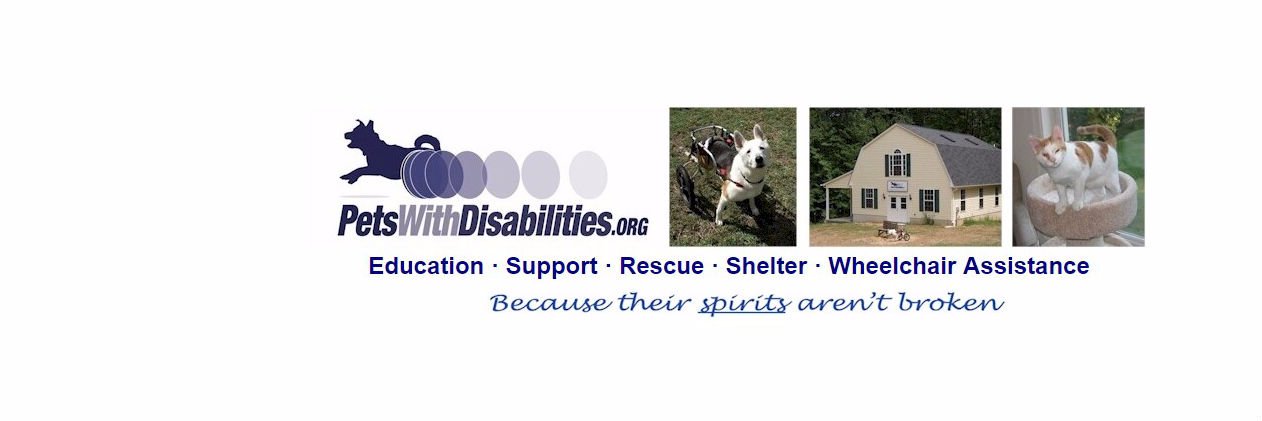 disabledpets's profile banner image