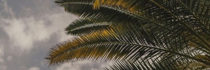 Isaassoni_'s profile banner image