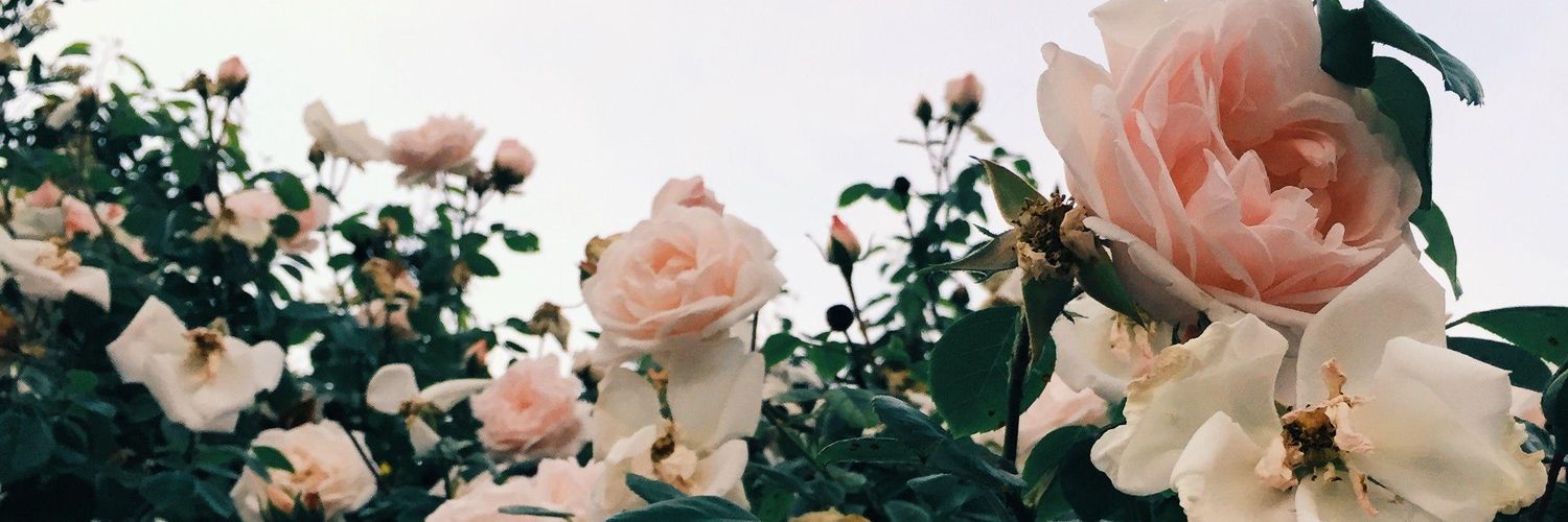 Jennifer. banner