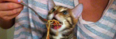 Purple 🏴󠁧󠁢󠁷󠁬󠁳󠁿 banner