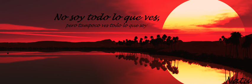 nardinatalia's profile banner image