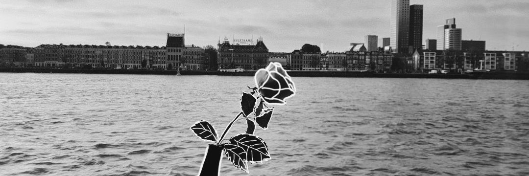 Ireeeneee08's profile banner image