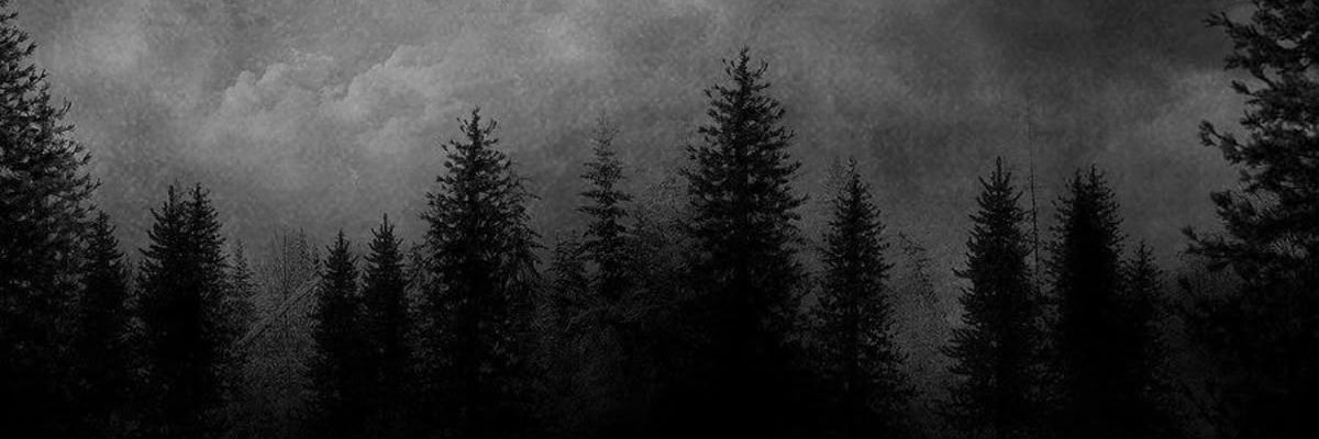 clairemsmith_'s profile banner image