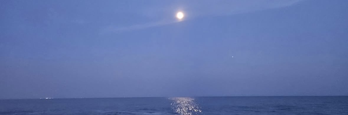 ୨ৎNani🤍| VERÁ A BTS🇵🇪 banner