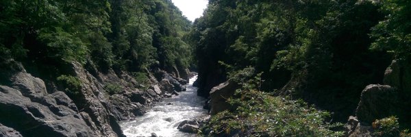 TomEpperson22 Profile Banner