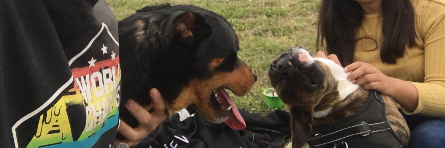 ulisescabj98's profile banner image